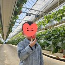 유봉농장 이미지