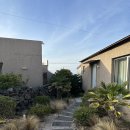 일렁이는 | [제주] 한림 자쿠지 독채 팬션 일렁이는 B동 후기