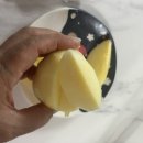 오남매농장 이미지