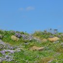 슬도주차장 이미지