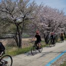 연풍중학교 이미지