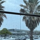 제주에 오길 잘했다 이미지