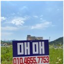 내집마련부동산중개 이미지