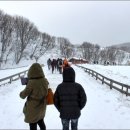 싸리목장 이미지