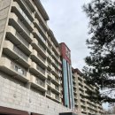 충주펫 | 충주 켄싱턴리조트 내부 시설 디럭스 룸 후기(펫 동반 가능)