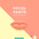 페어리페어