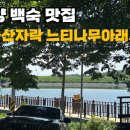 병풍산자락 느티나무 아래서 네이버블로그