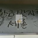 세이프애니펫 이미지