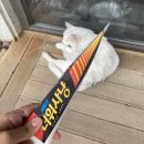 씨유제주구산로점 | 블챌 6주차의 기록🖋