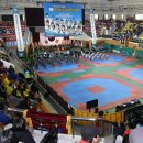 용인대 대한 태권도 이미지