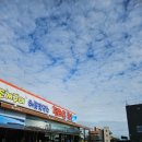 선녀횟집