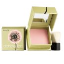 단델리온 이미지