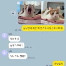 고양이한테 죽은 척 연기하다가 진짜 자버림 이미지