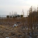 모후농장 이미지