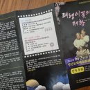 패랭이꽃의 저항 이미지