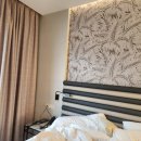 아바 | 세비야 숙소 추천 아바 세비야 직접 묵어본 후기