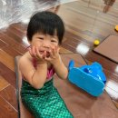 홈플러스 삼척점 이미지
