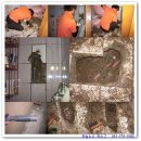 목포동초등학교 이미지