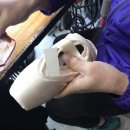 백조세탁 이미지