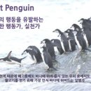 퍼스트펭귄
