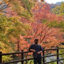 단풍구경 하세요~사진대방출(내장산/힐링/2일째) 이미지