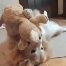 오늘의네일&속눈썹 Daum카페
