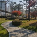 마북근린공원 이미지