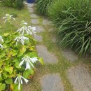 그램모텔 | [인천 옹진] 백령도 숙소 어디? 월가 펜션 실제 이용 후기