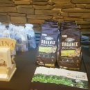 올캣코리아 이미지