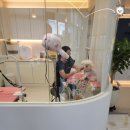 306 퍼피 이미지