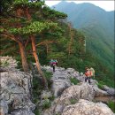 (주)청옥 Daum카페