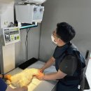거제동물병원 이미지