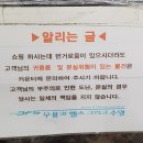 무용과헬스그리고수영