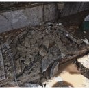 고싸움로 | 문제없이 해결해주는 광주싱크대막힘 광주변기막힘