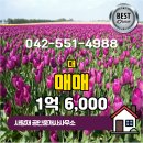 현장공인중개사사무소 이미지