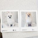 아뜰리에멍 이미지