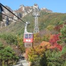 가을단풍 축제 (대둔산) 공지 이미지