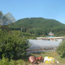 화진포 생태박물관 이미지