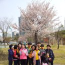 부천혜림학교 학생들과 함께 부천 둘레길 3코스 (호수공원) 걷기 봉사. 2013년 4월 18일. 이미지