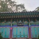 신기수목장 이미지