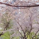 흥덕2로 65번길1 이미지