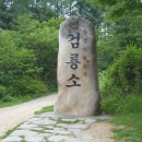 ＜191차＞2026년 8월 1일 (토) 첫째주 태백 '바람의 언덕, 매봉산' 이미지
