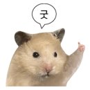 대림타일도기 이미지