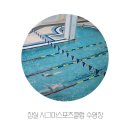 잠실수영장 시그마스포츠클럽 자유수영 이용후기