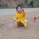 위드해지개 이미지