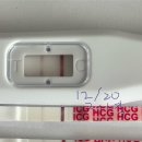 [내돈내산.. 광고 좀 받고싶다..] 경희튼튼본 한의원 임신준비 한약 추천 (feat.쌍둥이 임신 된 썰 푼다...