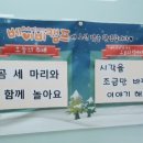 베이비캠프