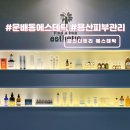 용산-436 | 문배동 효창공원역 피부관리 파인더트리 에스테틱 복부관리