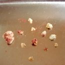 태전동물병원 이미지