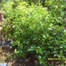 장순농장 이미지